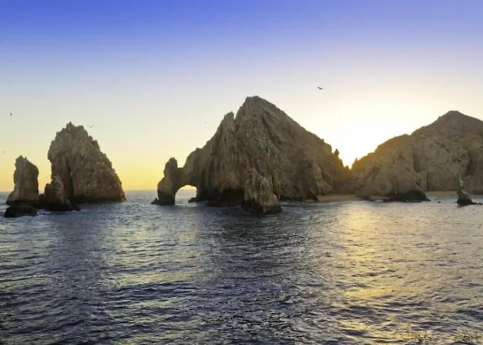 Gorgeous King Exclusive Boutique Cabo *